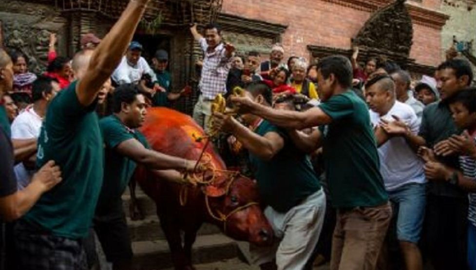 महानवमीको अवसरमा खःमेय् जात्रा मनाइँदै 